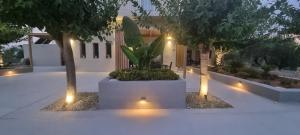 Reas Luxury Apartments