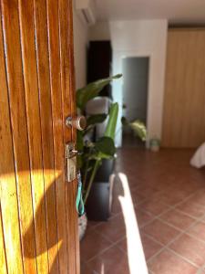 Le tre orchidee Apartments