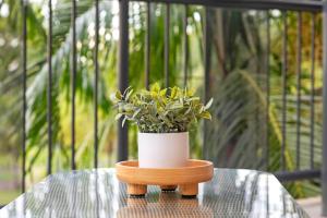 Casuarina Vista - Beachfront Elegance in Rapid Creek