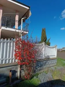 Villa Pia - Castagnole Piemonte