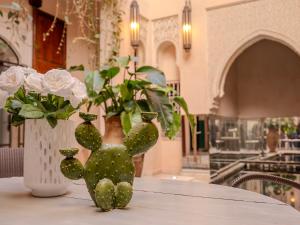 Riad MAYAN Heated Pool and GYM