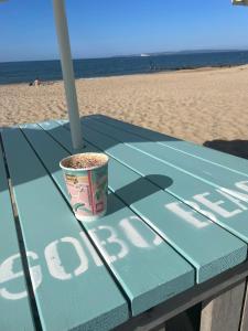 Villa Maria Garden Lodge - 2 Mins to Beach - Coastal - Dog-Friendly - Modern Luxury - Large Garden - Private Access - Parking