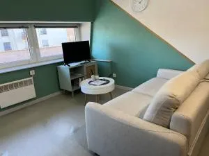 Comfortable duplex apartment - 阿让