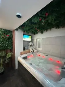 Évasion Spa Jacuzzi Sauna - 利戈尔塞姆