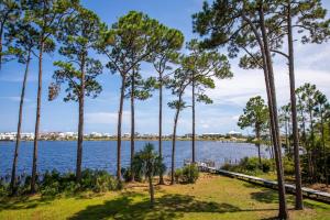 Salty Eagle Overlook