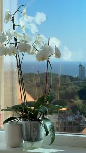 Аркадия !26 жемчужина вид море, место в паркинг