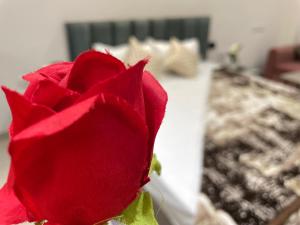 VVIP Address 13 Jagatpura - Award Winning 2026 Top Rated Luxury Studio in Jaipur Limited Availability Book Now