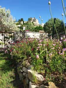 Appartements Pause couleur Lavandula : photos des chambres