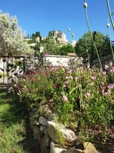 Pause couleur Lavandula - Roussas