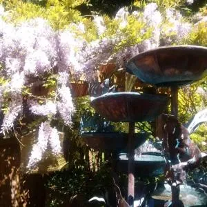 Simply Suite - Sua Casa Longe de Casa - 布伦特伍德湾