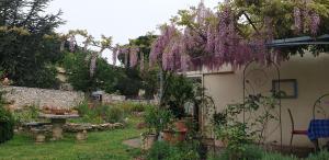 Appartements Pause couleur Lavandula : photos des chambres