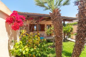 House Punta Nera img3