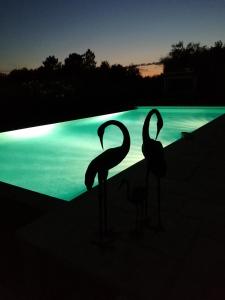 Maisons de vacances Magnifique logement independant dans villa avec piscine : photos des chambres