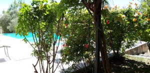 Maisons de vacances Magnifique logement independant dans villa avec piscine : photos des chambres