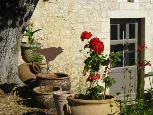 Maisons de vacances Vialard : photos des chambres
