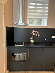Appartements Studio centre ville La Bourboule : photos des chambres