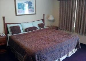 Single Bed Accessible room in Western Inn Hamilton