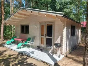 Royal Night - Dobrzyków