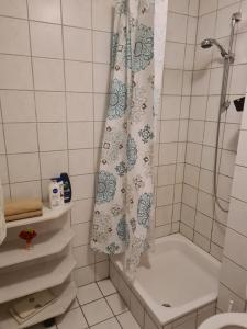 Privates Studio mit Balkon und Übernachtungsmöglichkeit in eine Wohngemeinschaft in der Nähe des Flughafens Leipzig,Halle