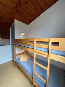 Appartements Appartement a 200 m du lac de la Raviege : photos des chambres