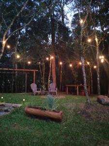 Diamante na Floresta