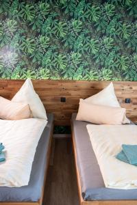 Sixty Two 62 Apartment Dresden