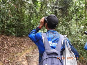 Huellas en la selva sas zomac