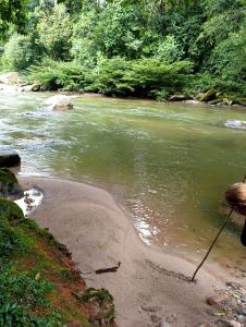 Huellas en la selva sas zomac
