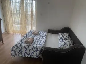 Apartmani Amon - Karaula