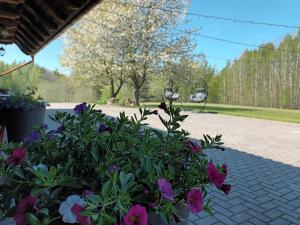 Prystovų sodyba šventėms ir poilsiui