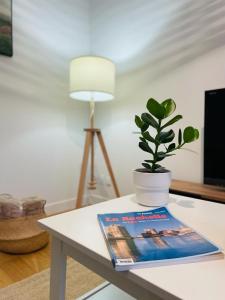 Cozy apartment Chez Simone