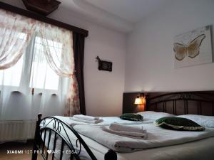 Pensiunea Buon Gusto Sibiu-motorcyle friendly,city center