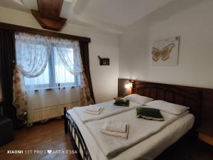 Pensiunea Buon Gusto Sibiu-motorcyle friendly,city center