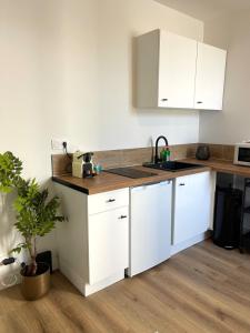 Appartements Le Breizh -T2 en centre ville : photos des chambres