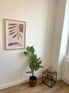 Appartements Le Breizh -T2 en centre ville : Appartement 1 Chambre