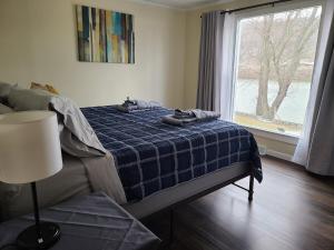 Riverfront Cottage in Owego