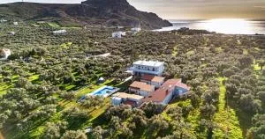 Ikaros Studios - Dhamnóni