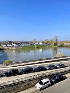 Appartements Vue incroyable Loire et Chateau : photos des chambres