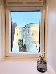 Appartements Vue incroyable Loire et Chateau : photos des chambres