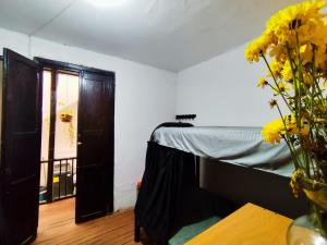 Mico Loco Casa Hostal