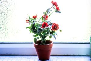 Comfy Home-Vimy Road