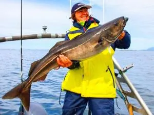 Holiday home Vevelstad III - 赫兰