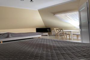 Apartment in Mi dzywodzie near Baltic Beaches