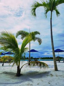 Con jacuzzi privado, laguna y Paddle board