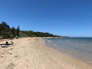 Spacious, Light filled, One Bedroom House by the Beach