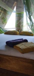 Bamboo Hut Alpha Hotel