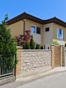 Luxury Villa Plandište 1 - Kamenjača