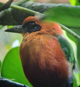 Camping para experiencias únicas