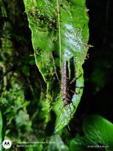 Camping para experiencias únicas