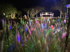 Ville De La Vie Khao Yai